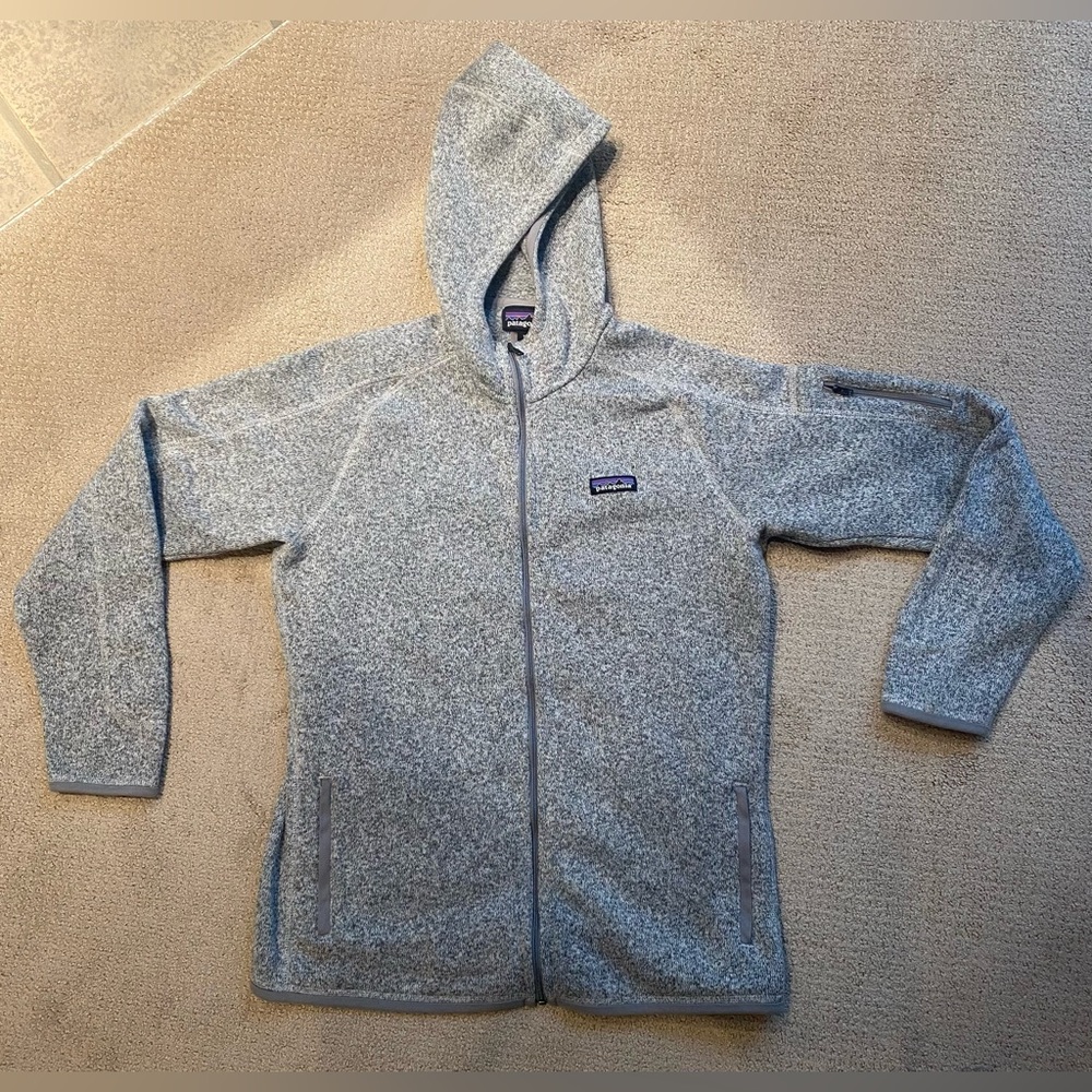 Patagonia Better Sweater Hoody